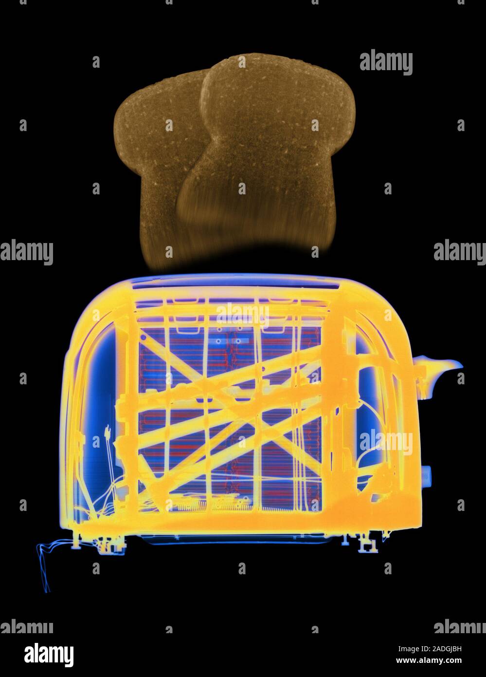 Popup toaster. Coloured Xray of a 1960's electric toaster with
