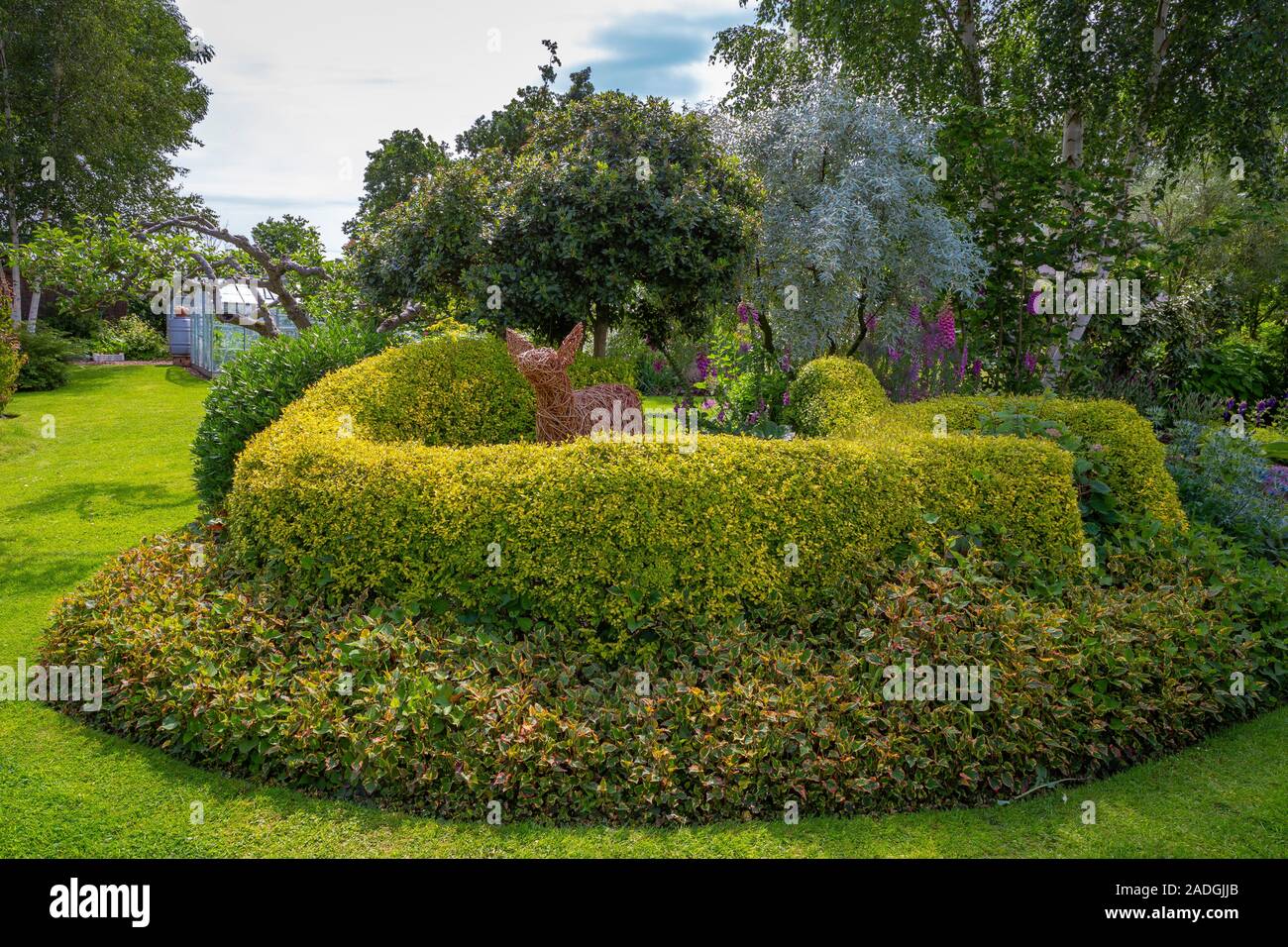 Buxus sempervirens topiary with willow deer sculpture, underplanted with Houttuynia cordata 'Chameleon' Stock Photo