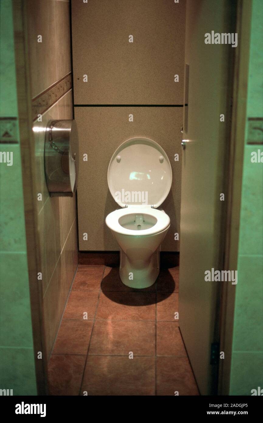 Toilet cubicle in a shopping centre. Photographed in the West Midlands ...