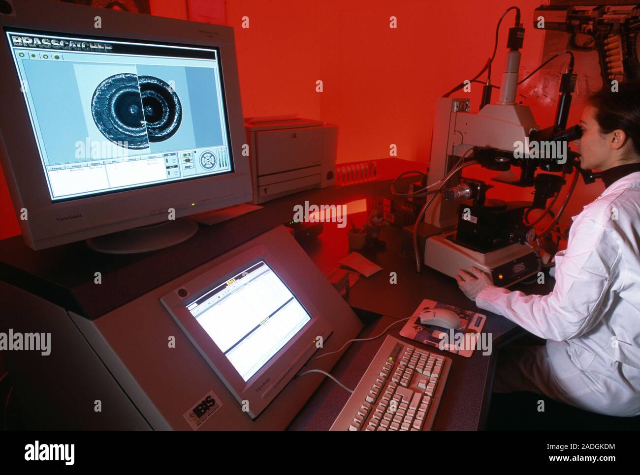 Comparing used bullet cartridges. Forensic scientist using a microscope