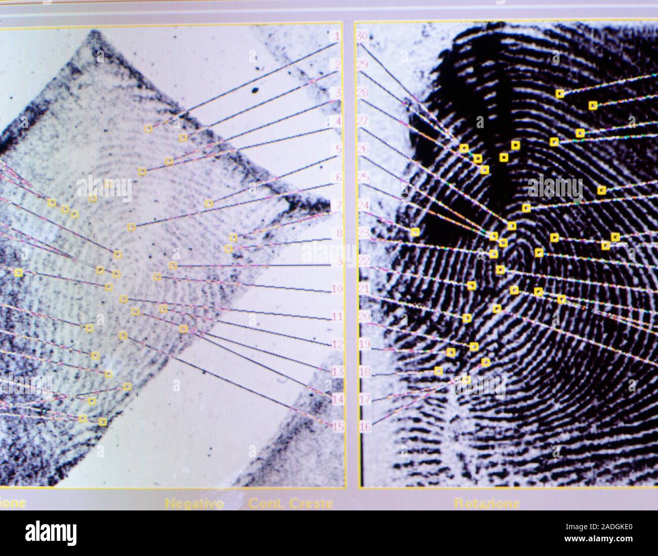 Fingerprint analysis. Comparison of fingerprints with characteristic