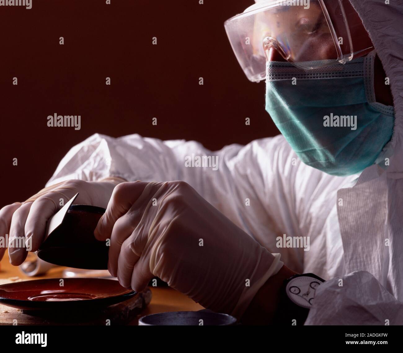 Lifting fingerprints. Image 2 of 3. Forensic officer using an adhesive