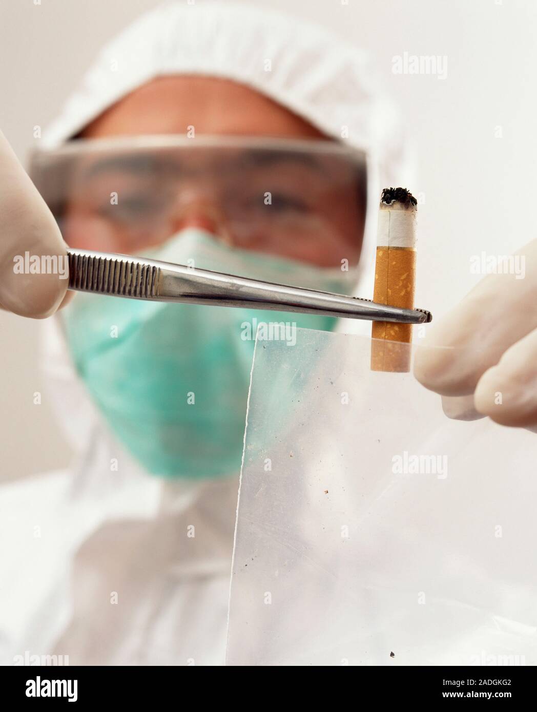 cigarette tweezers Collecting evidence. Forensic officer using a pair of tweezers to collect a  cigarette butt found at a crime scene. The gloves and protective clothing  Stock Photo