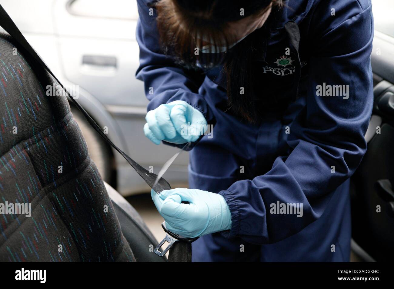 Lifting fingerprints. Scene of crime officer (SOCO) lifting fingerprints from a car seat belt