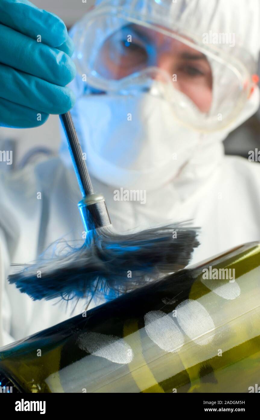 Forensic evidence. Forensics officer dusting a wine bottle in order to