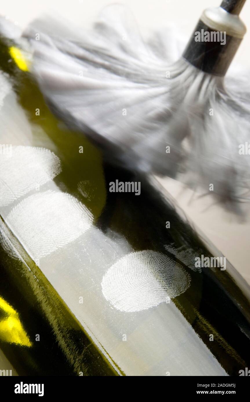 Forensic evidence. Forensics officer dusting a wine bottle in order to