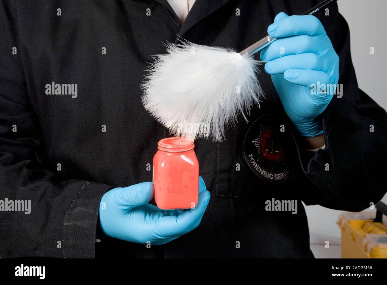 MODEL RELEASED. Fingerprint duster and powder. Forensic officer