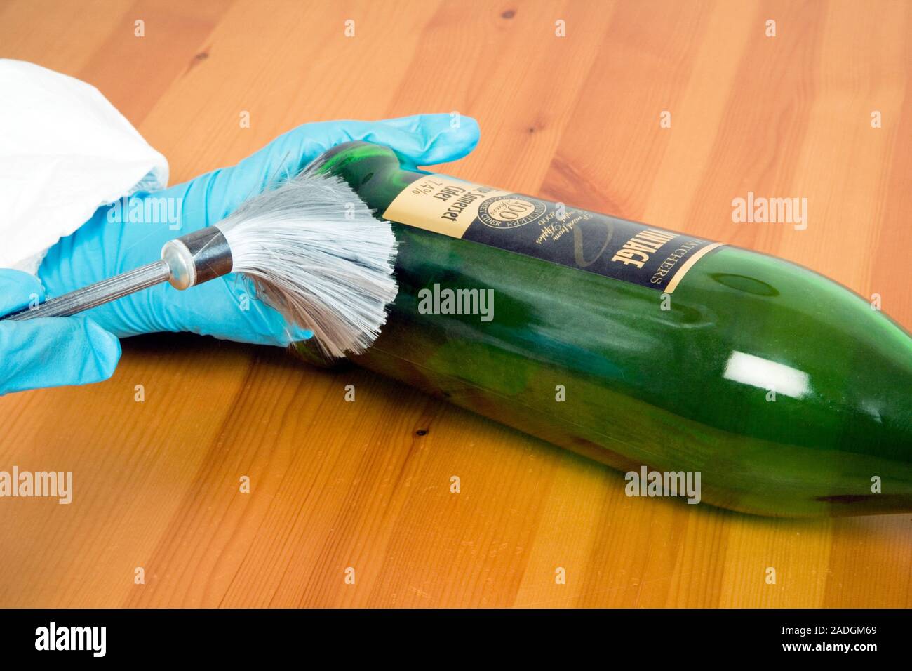 MODEL RELEASED. Dusting for fingerprints. Forensics officer dusting a