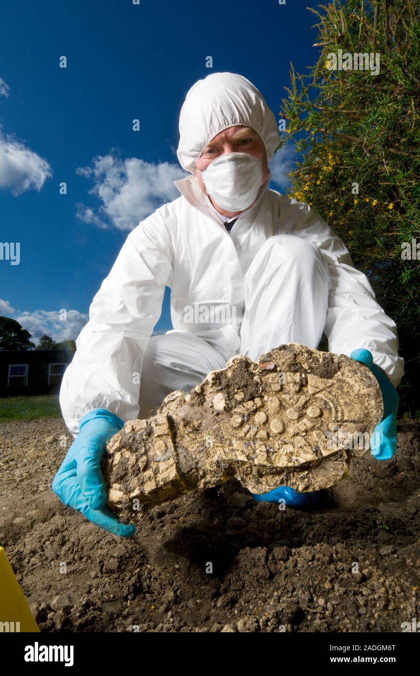 Footprint cast. Forensics officer holding a plaster cast of a footprint