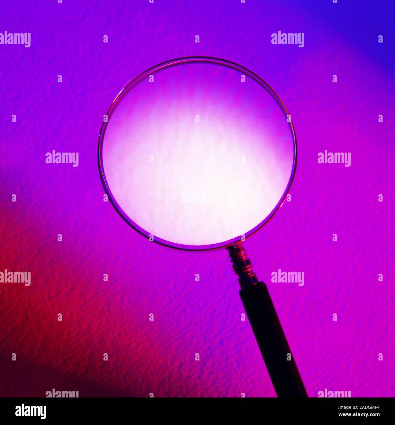 Magnifying glass. The glass lens is polished to an exact shape to