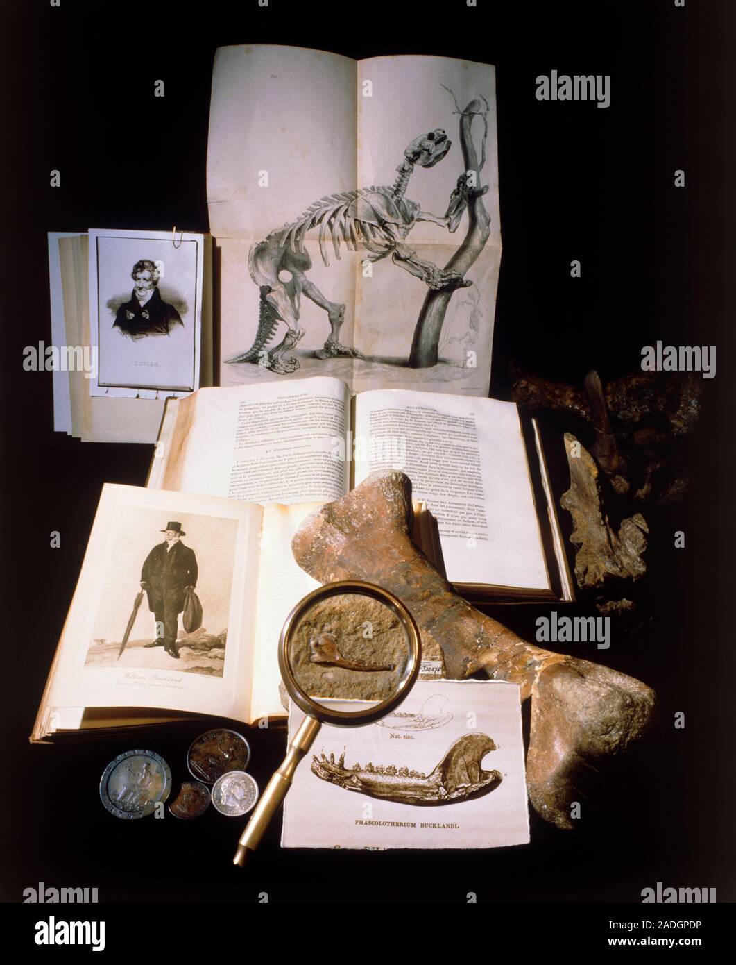 Portrait (upper left) of the French anatomist Cuvier (17691832