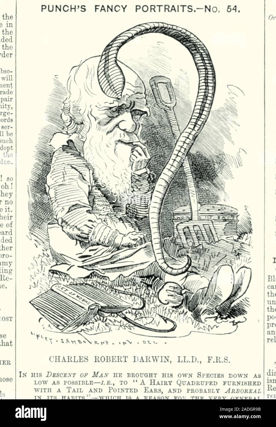 Charles Darwin. Caricature of the British natural ist Charles Robert