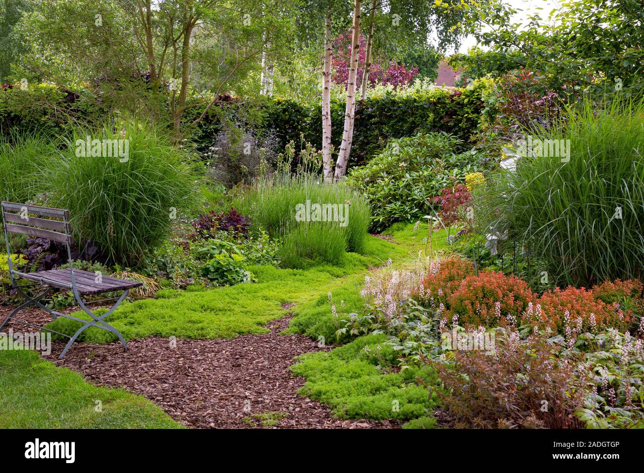Ornamental bark borders hires stock photography and images Alamy