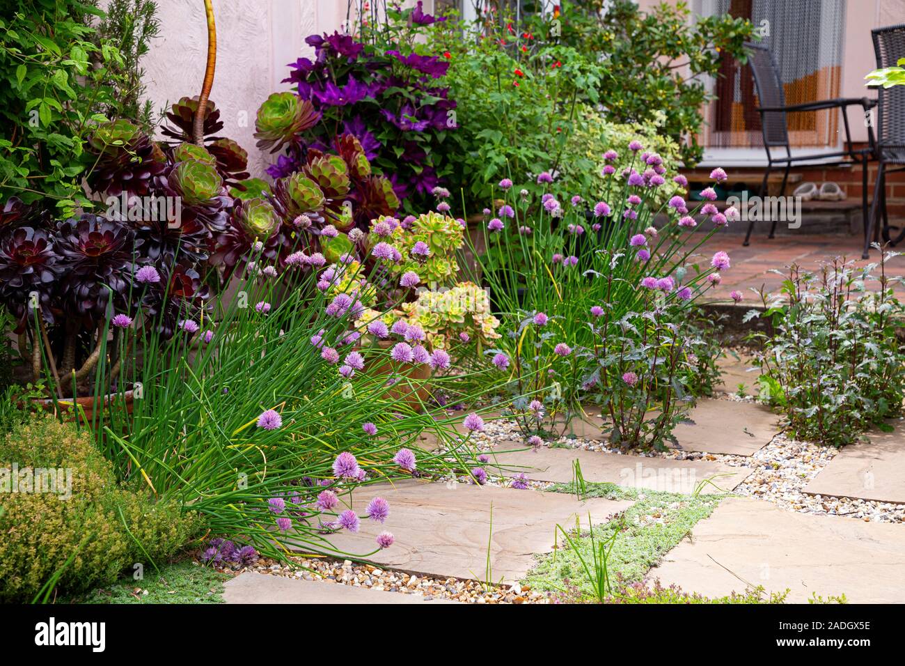 A gravel and stone slab path patio with Allium schoenoprasum and potted ...