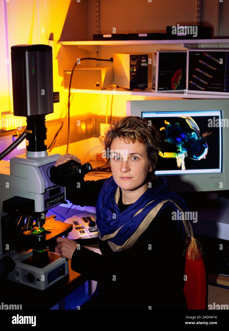 Stefanie Reichelt Cell Biologist Working On A Laser scanning Confocal stefanie-reichelt-cell-biologist-working-on-a-laser-scanning-confocal