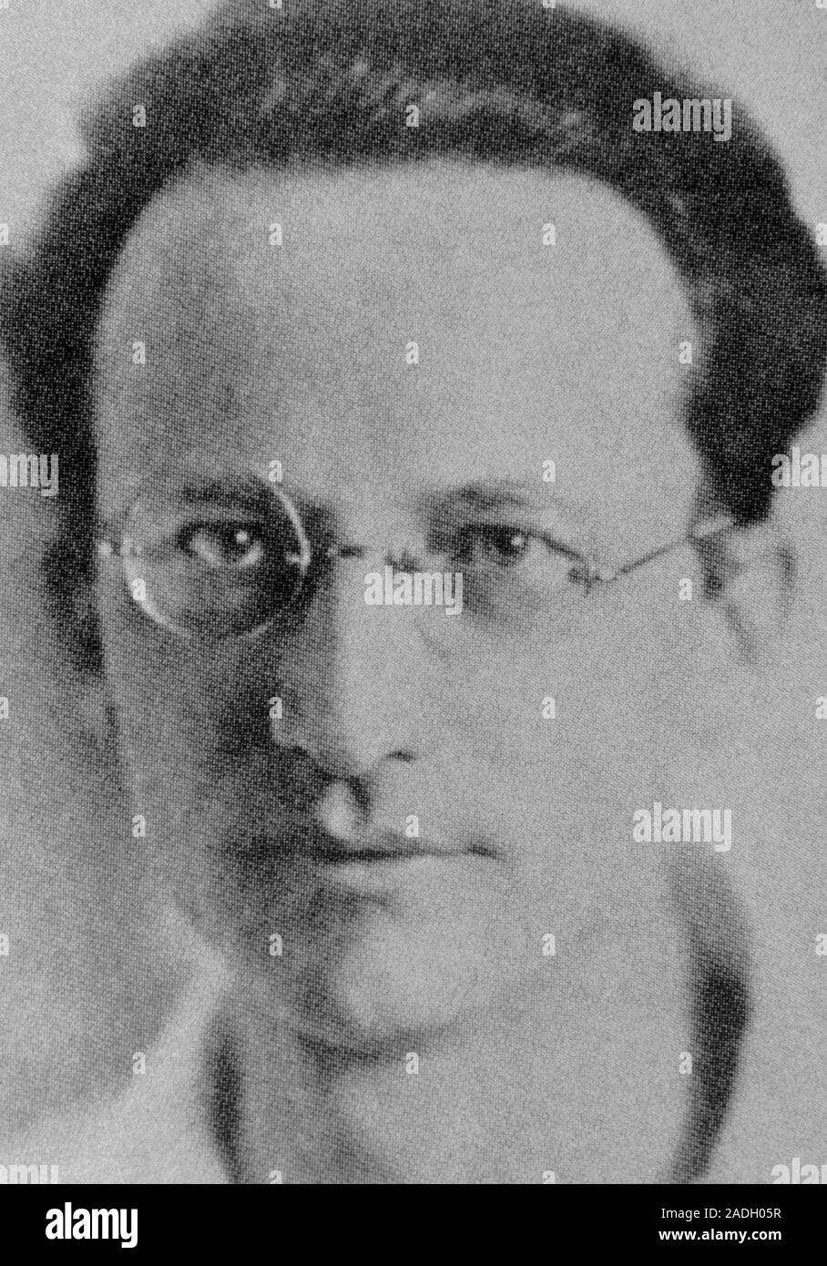 Portrait of Erwin Schrodinger (18871961) Austrian physicist