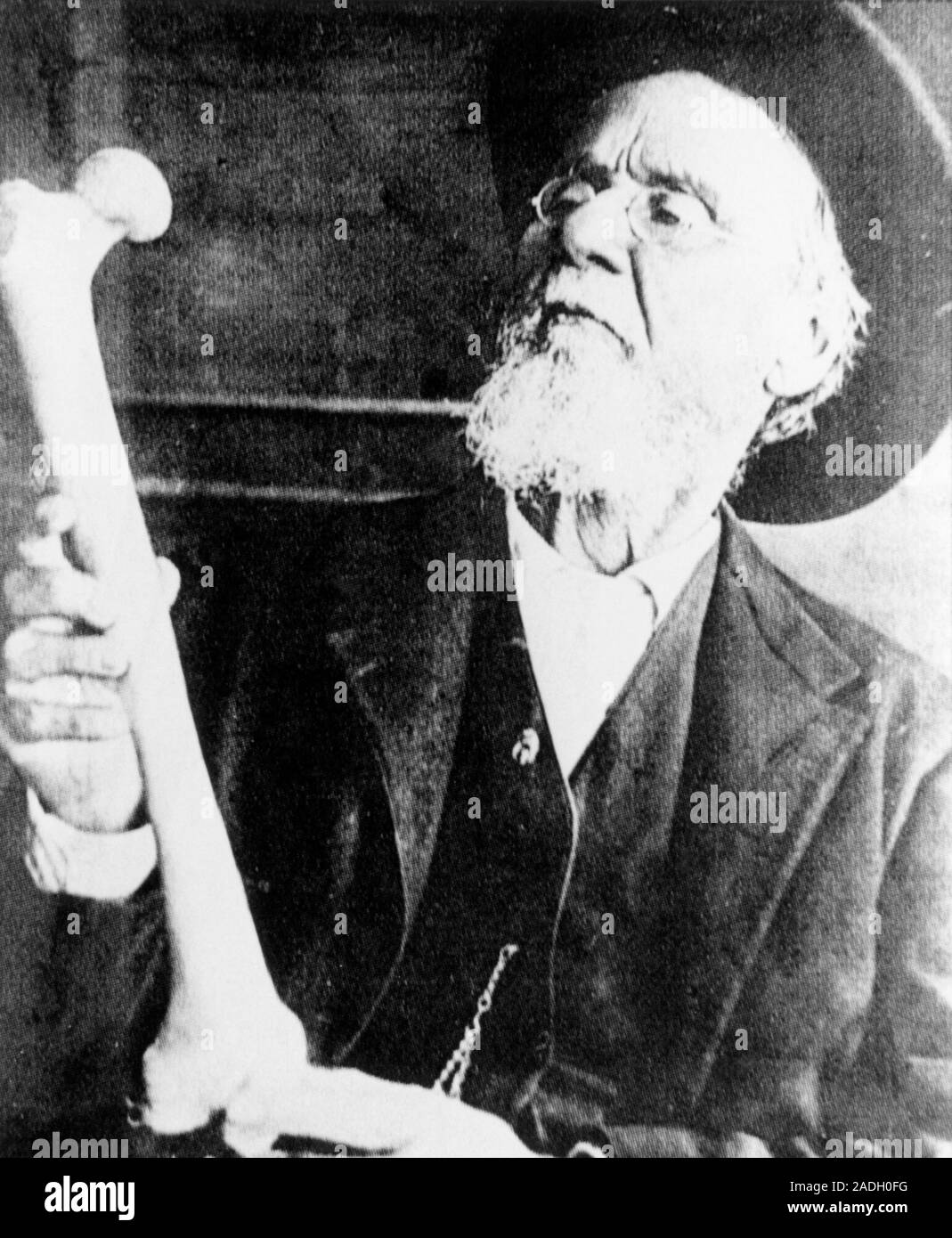 オステオパシーの哲学 Andrew Taylor Still著 書籍「オステオパシーの哲学」 | Osteopathic related shops