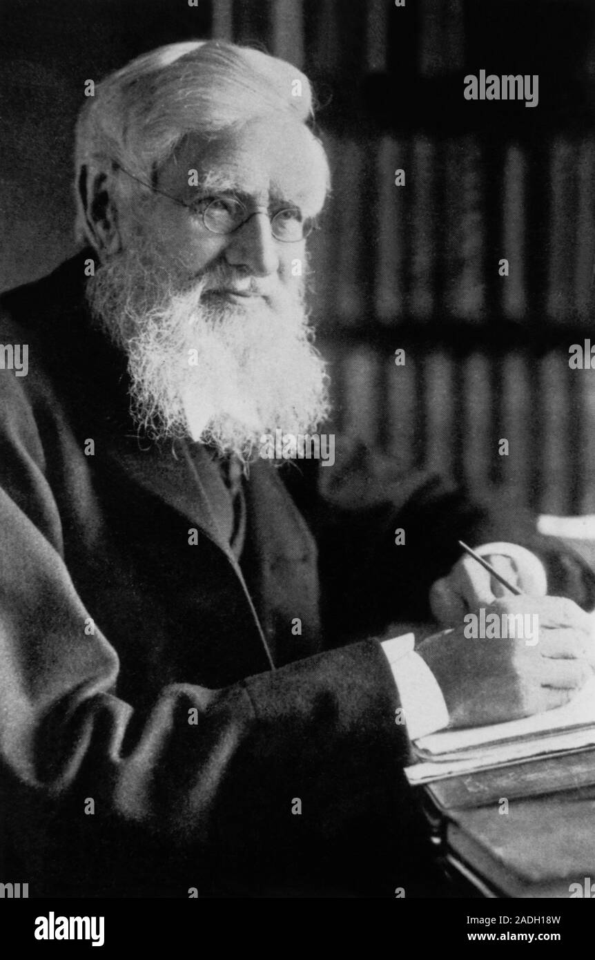 Alfred Wallace. Portrait of Alfred Russel Wallace (18231913), British