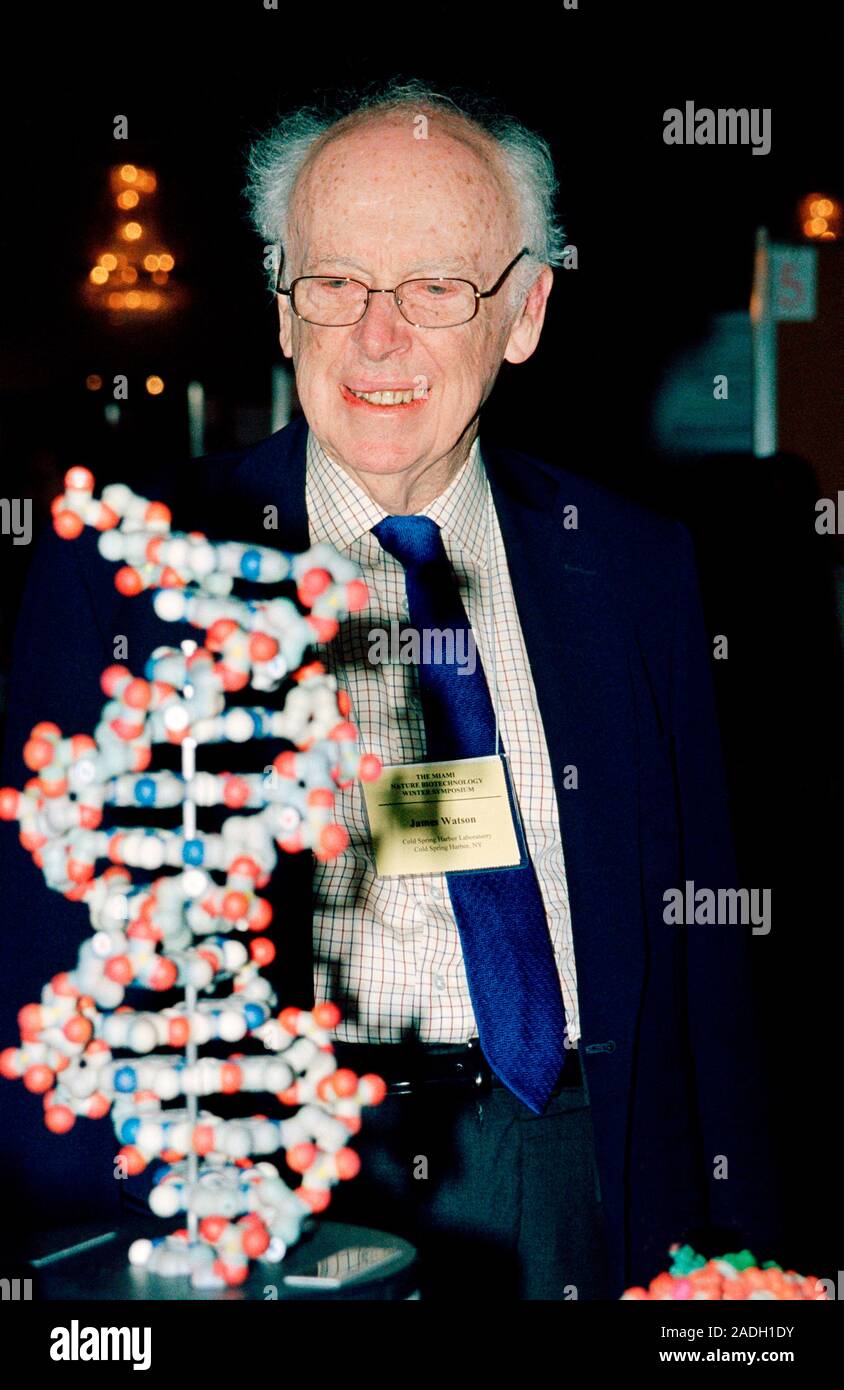 James Dewey Watson (born 1928), American biochemist, with a model of the  DNA helix. Watson is the co-discoverer of the structure of deoxyribonucleic  a Stock Photo - Alamy