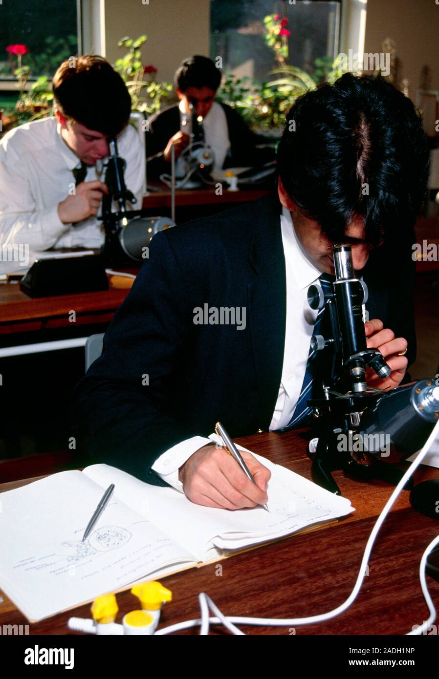 Pupils using microscopes during a school biology lesson Stock Photo Alamy