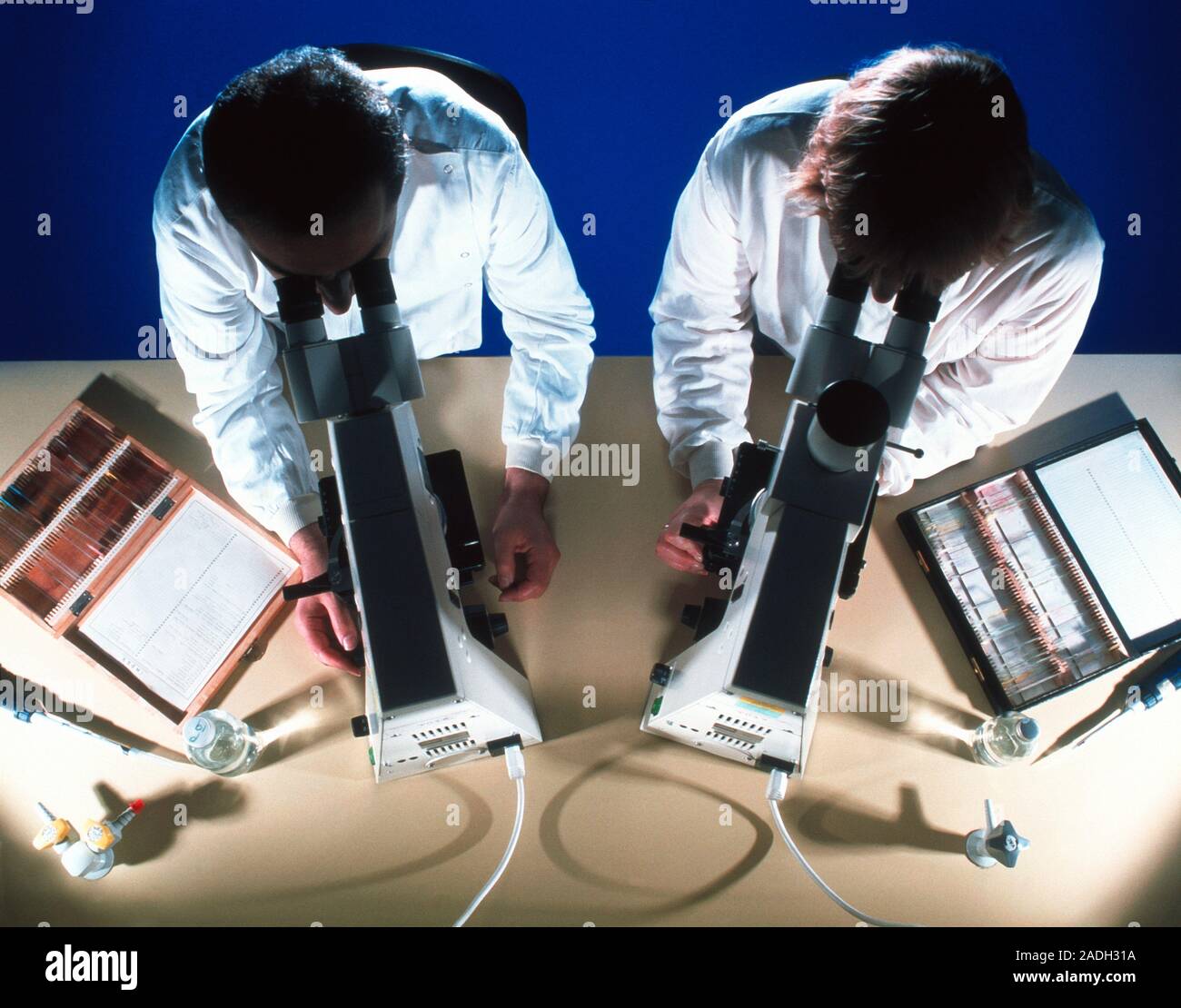 Light microscopy. Technicians using light, or optical, microscopes to study microscope slides. Stock Photo