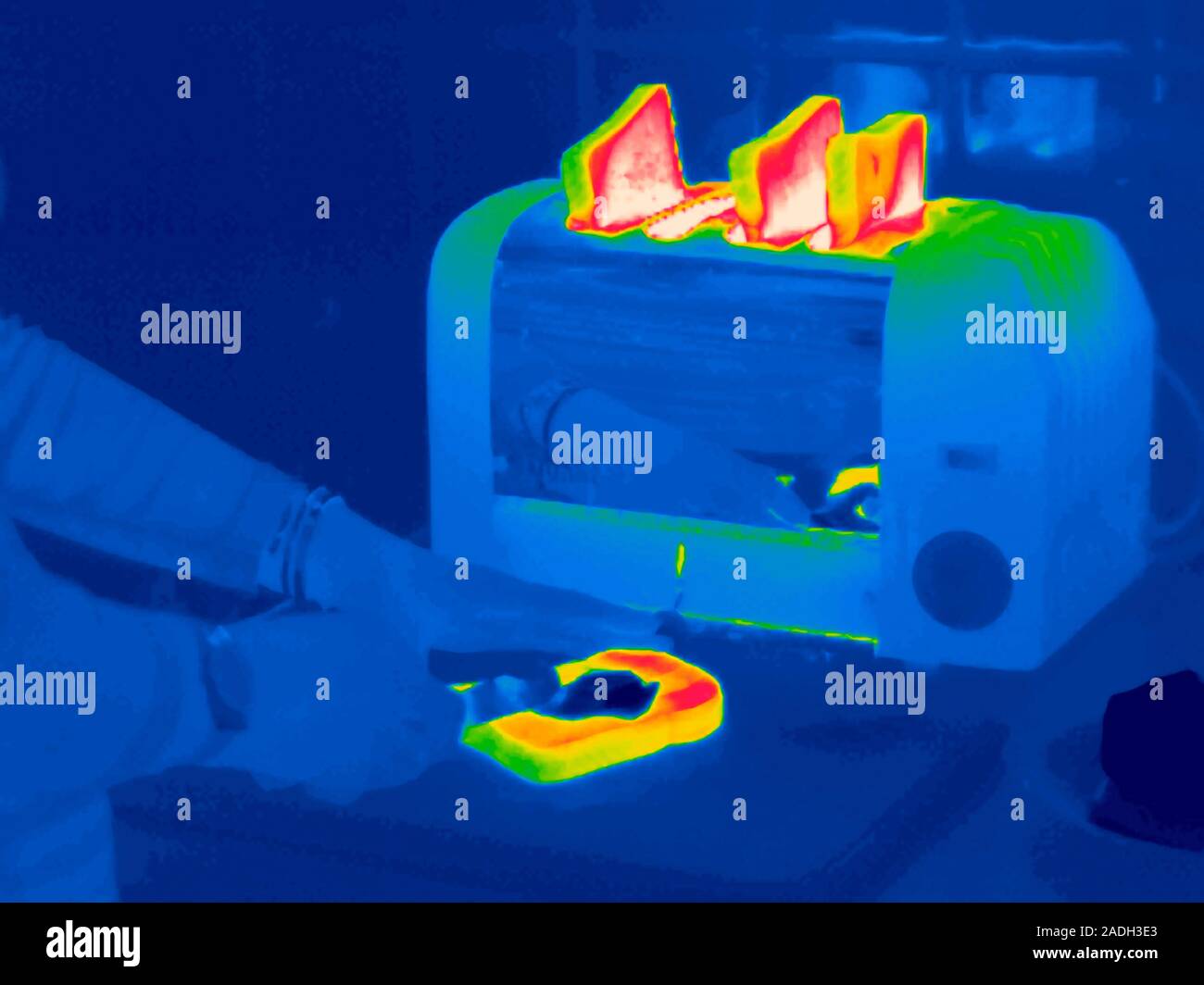 Toast. Thermogram of toasted bread in an electric toaster and butter ...
