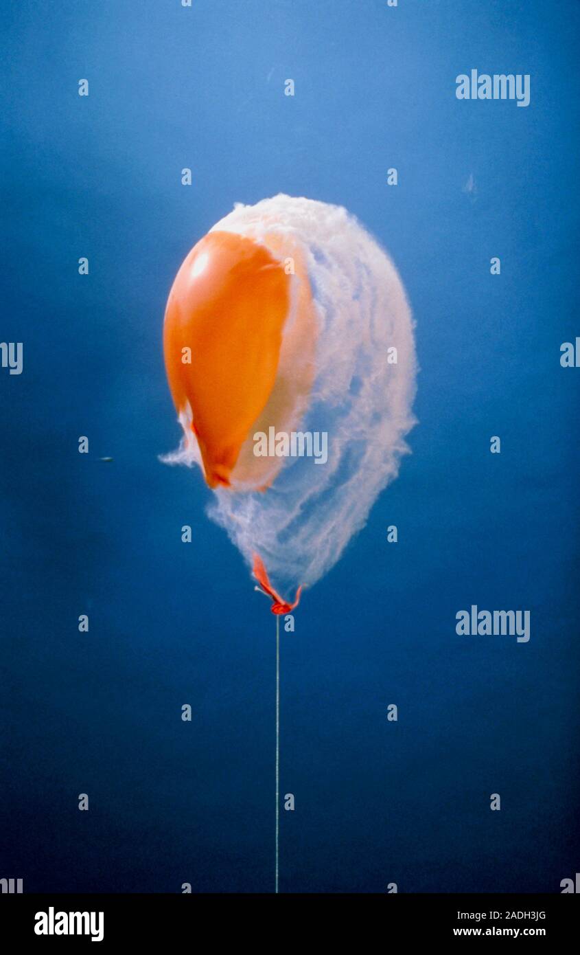 High speed photograph of an air gun pellet ripping through a balloon. It contains a some talcum