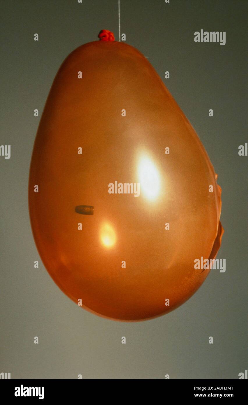 High speed photograph of a . 22 calibre bullet hitting a balloon. The