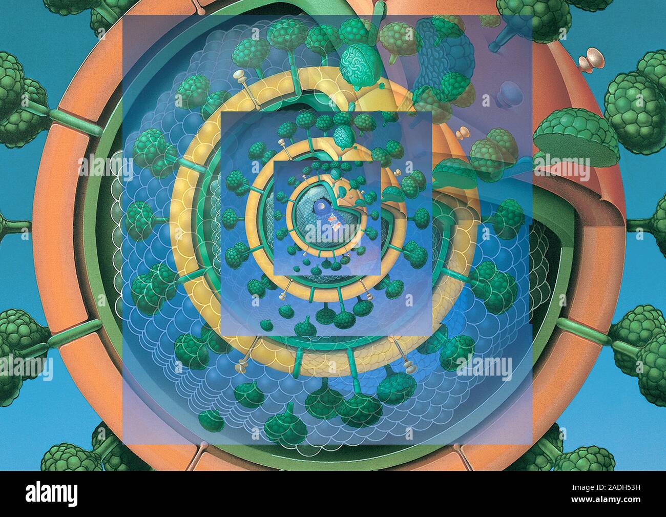 AIDS virus. Conceptual computer artwork of many HIV (human ...