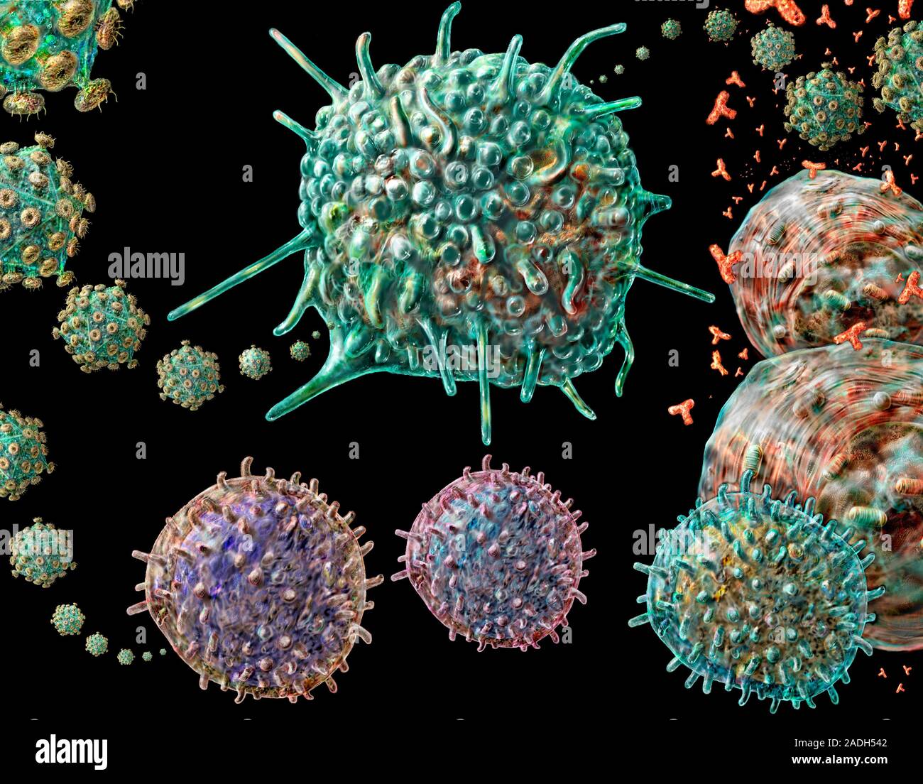 Вич название вируса. Вирусы под микроскопом. Вирус ВИЧ под микроскопом. Вирусы фото. ВИЧ изображение вируса.