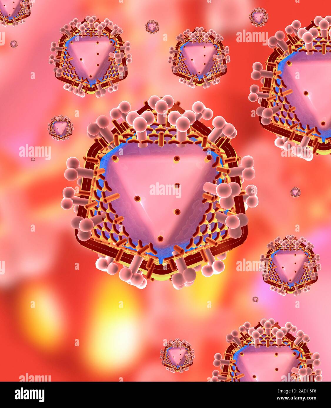 HIV particles, computer artwork. HIV (human immunodeficiency virus ...
