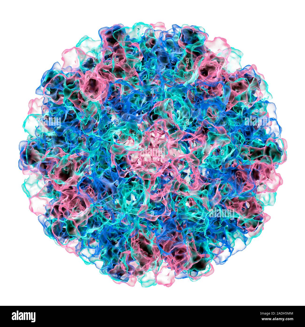 Norwalk virus. Artwork showing the surface structure of a Norwalk virus ...