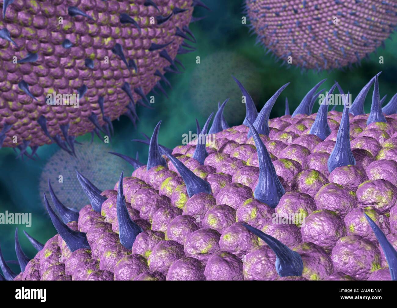 Protons Virus Virus particles, computer artwork. Virus particles (virions) each ...