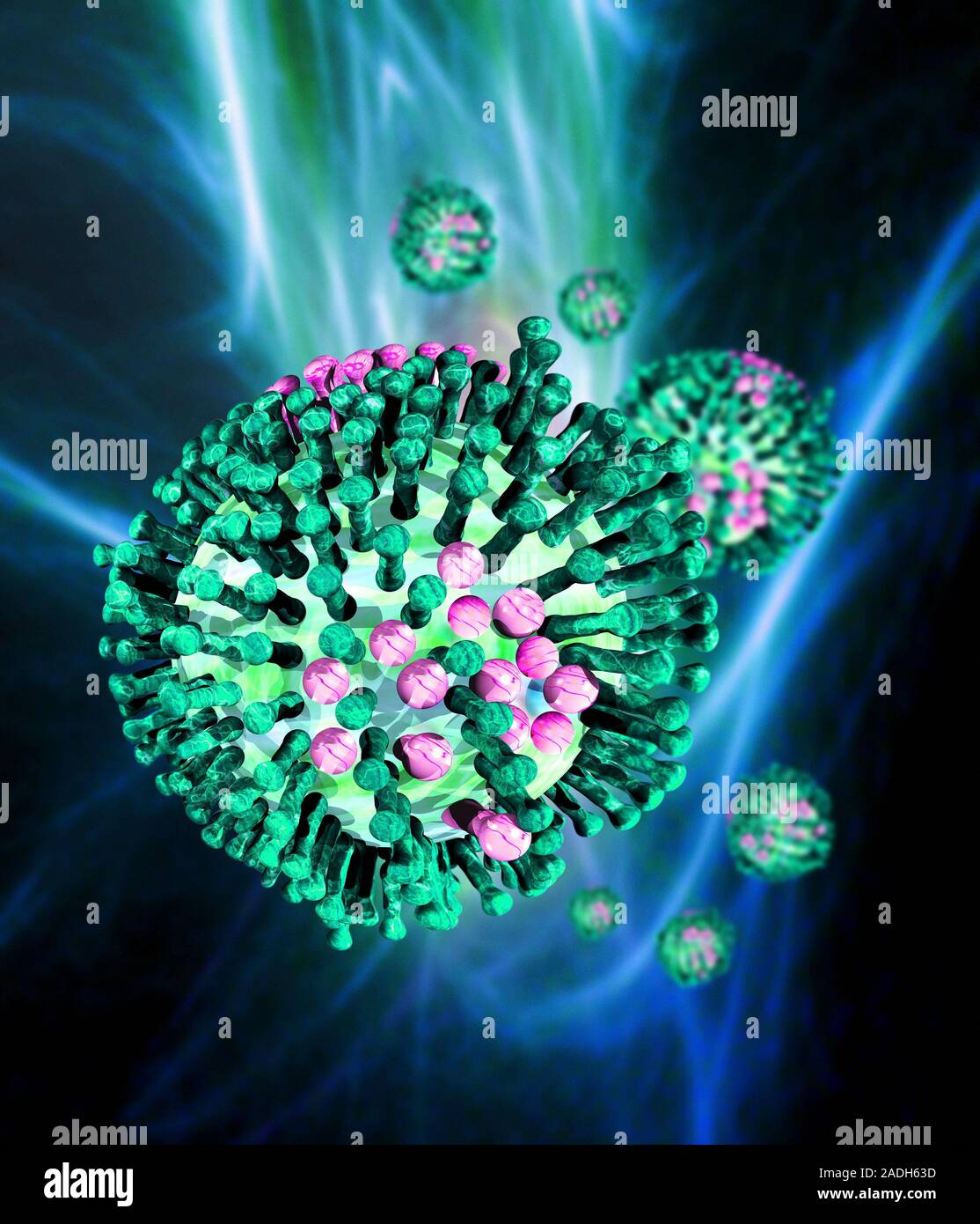 Avian flu virus particles, computer artwork. The H5N1 strain of avian ...