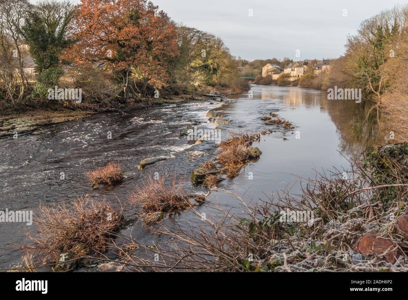 The River Tees upstream from Demenses Mill, Barnard Castle, County Durham, UK on a frosty morning in November Stock Photo