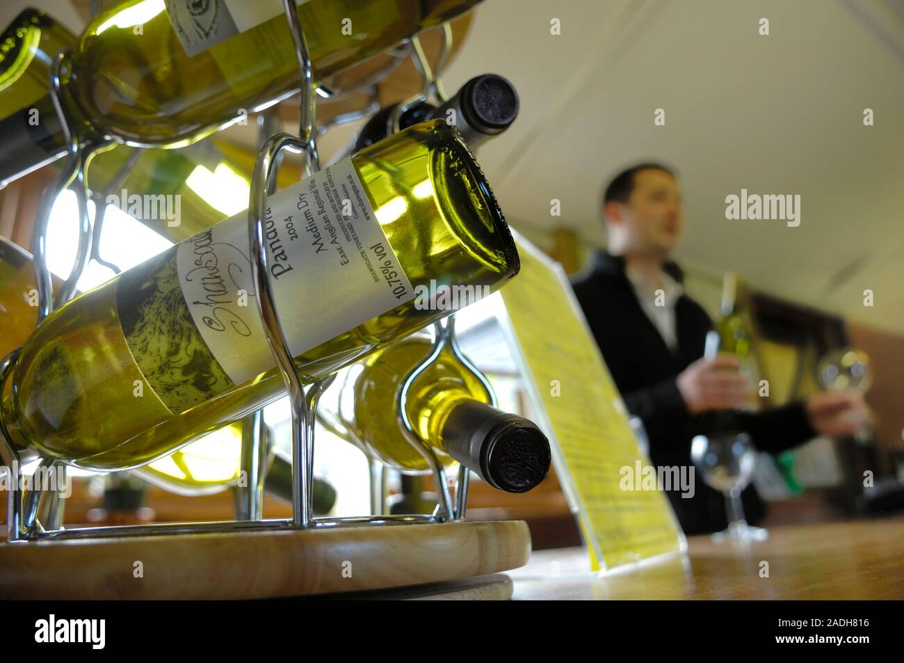 Wine tasting at Shawsgate Vineyard, Framlingham, Suffolk, England, UK