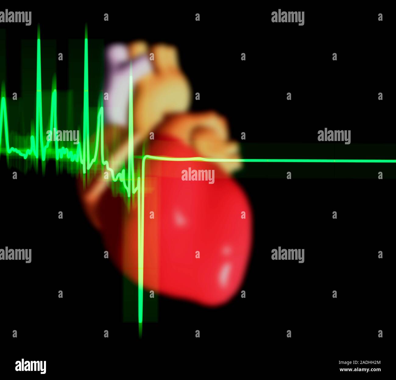 ECG trace and heart. Computer artwork of an ECG (electrocardiogram ...