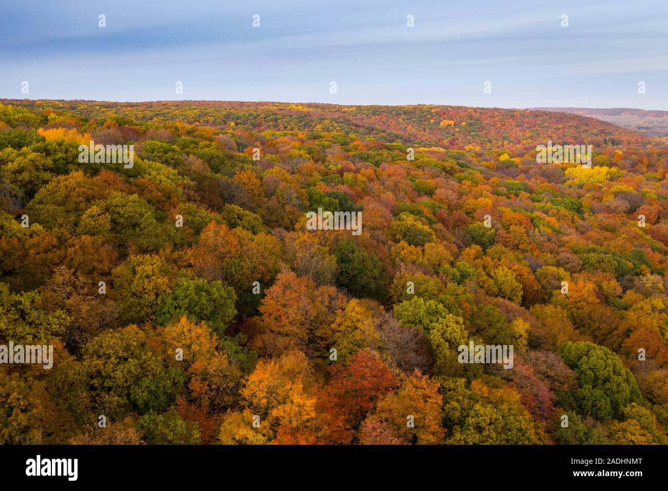 Aerial lush forest in colorful hi-res stock photography and images - Alamy