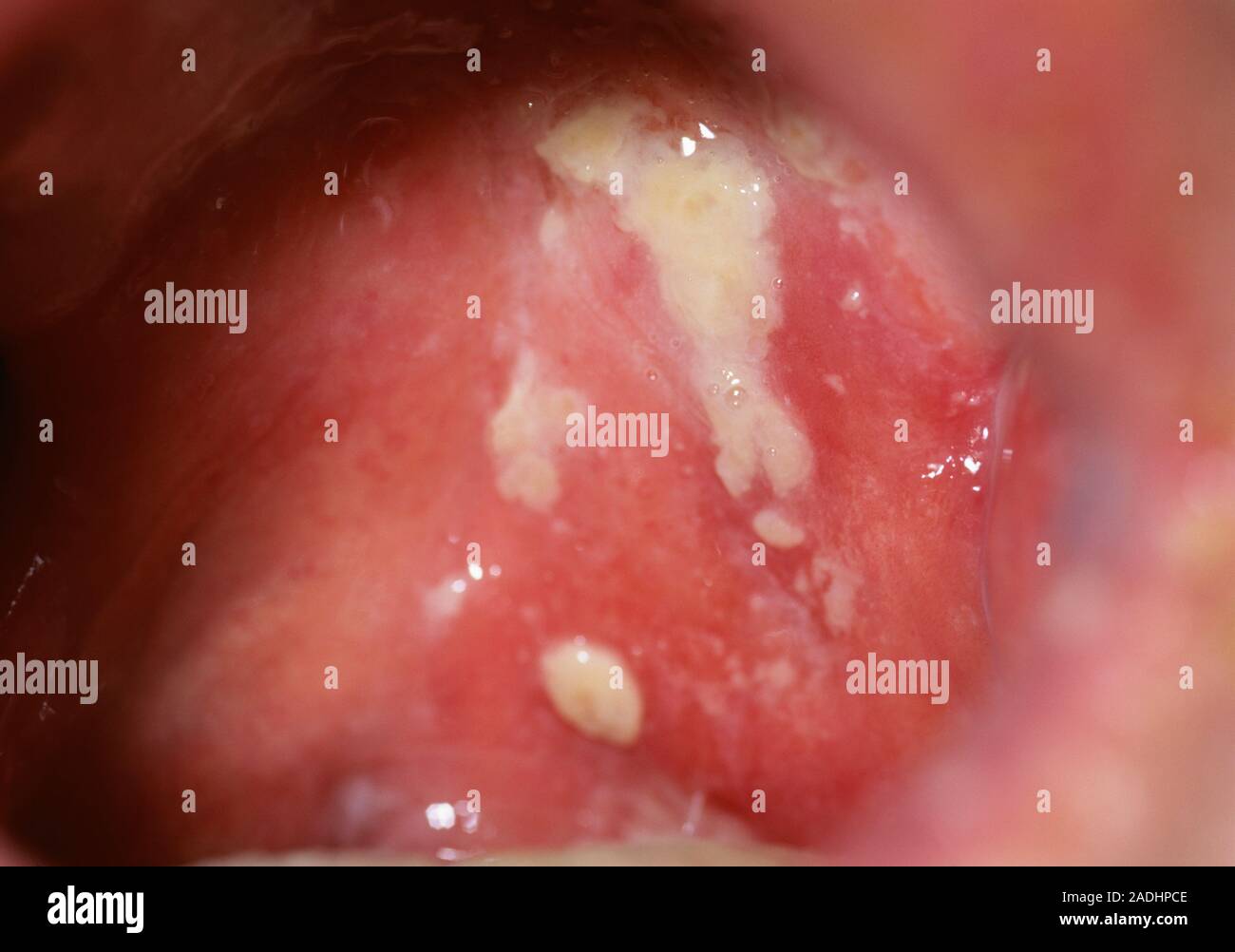 Here been other study system available NPs mandatory steered chemicals otherwise when tolerant send