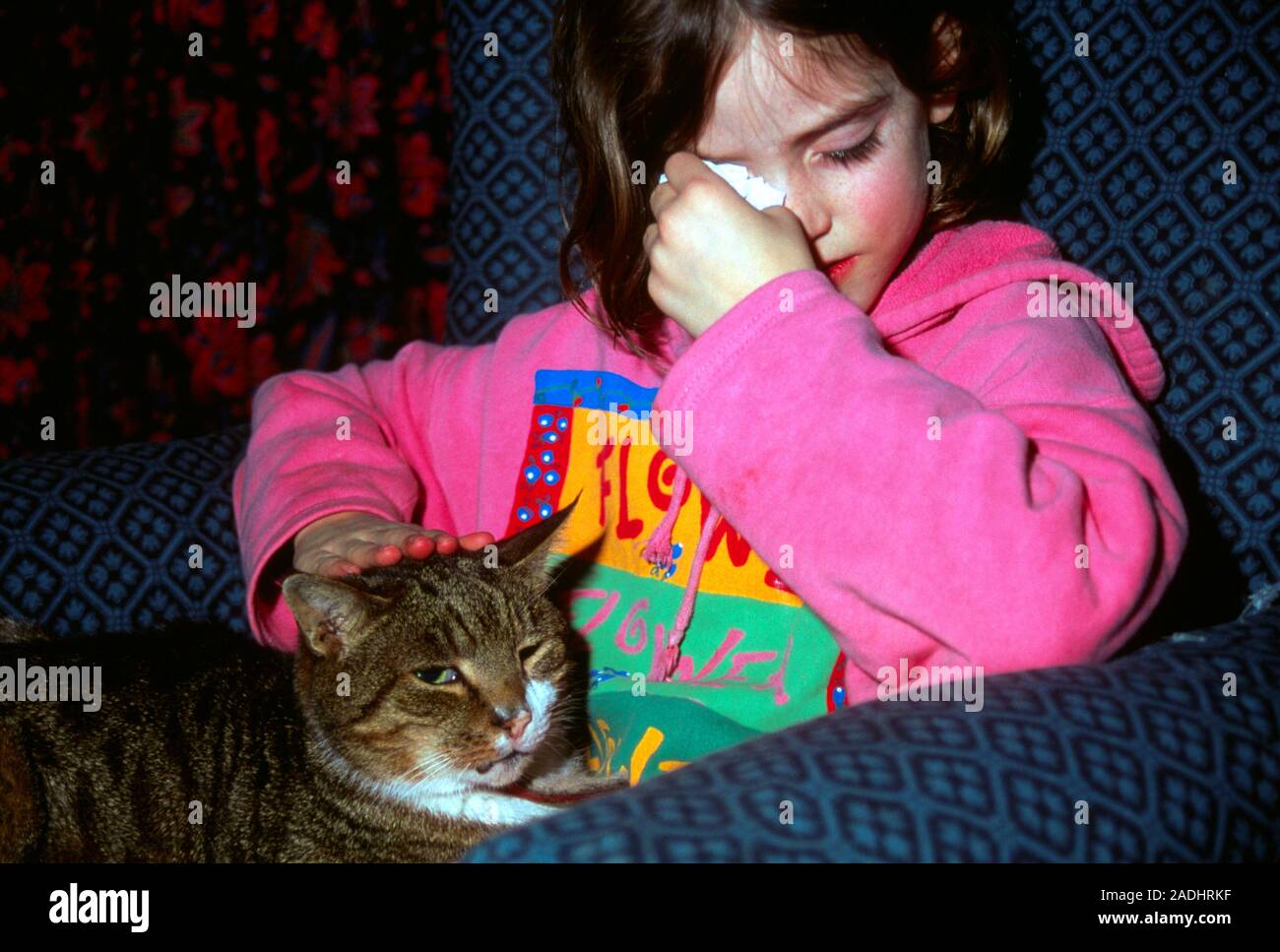 Cat allergy. A seven year old girl suffers an allergic reaction to her