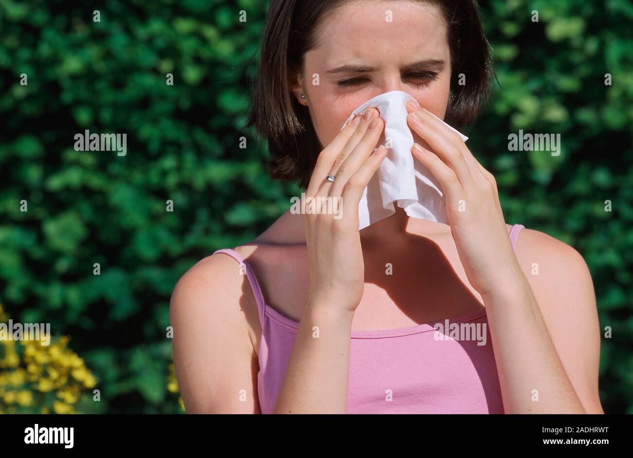 MODEL RELEASED. Hay fever. Teenage girl sneezing due to hay fever. Hay