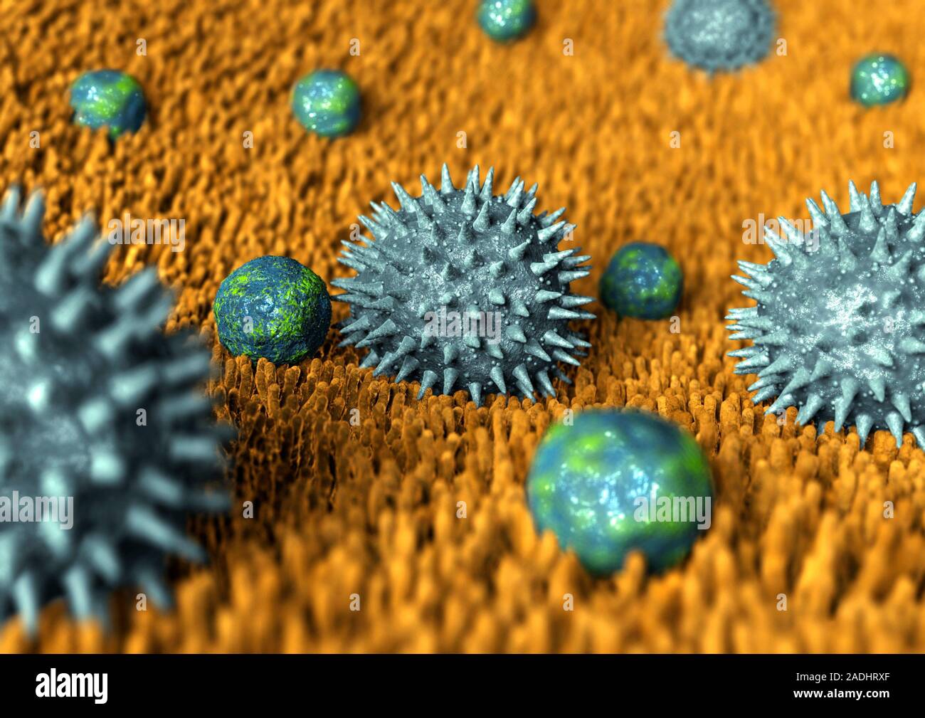 Грипп вызывают бактерии. Вирус гриппа. Вирусы фото. Вирусы и бактерии. Вирус гриппа под микроскопом.