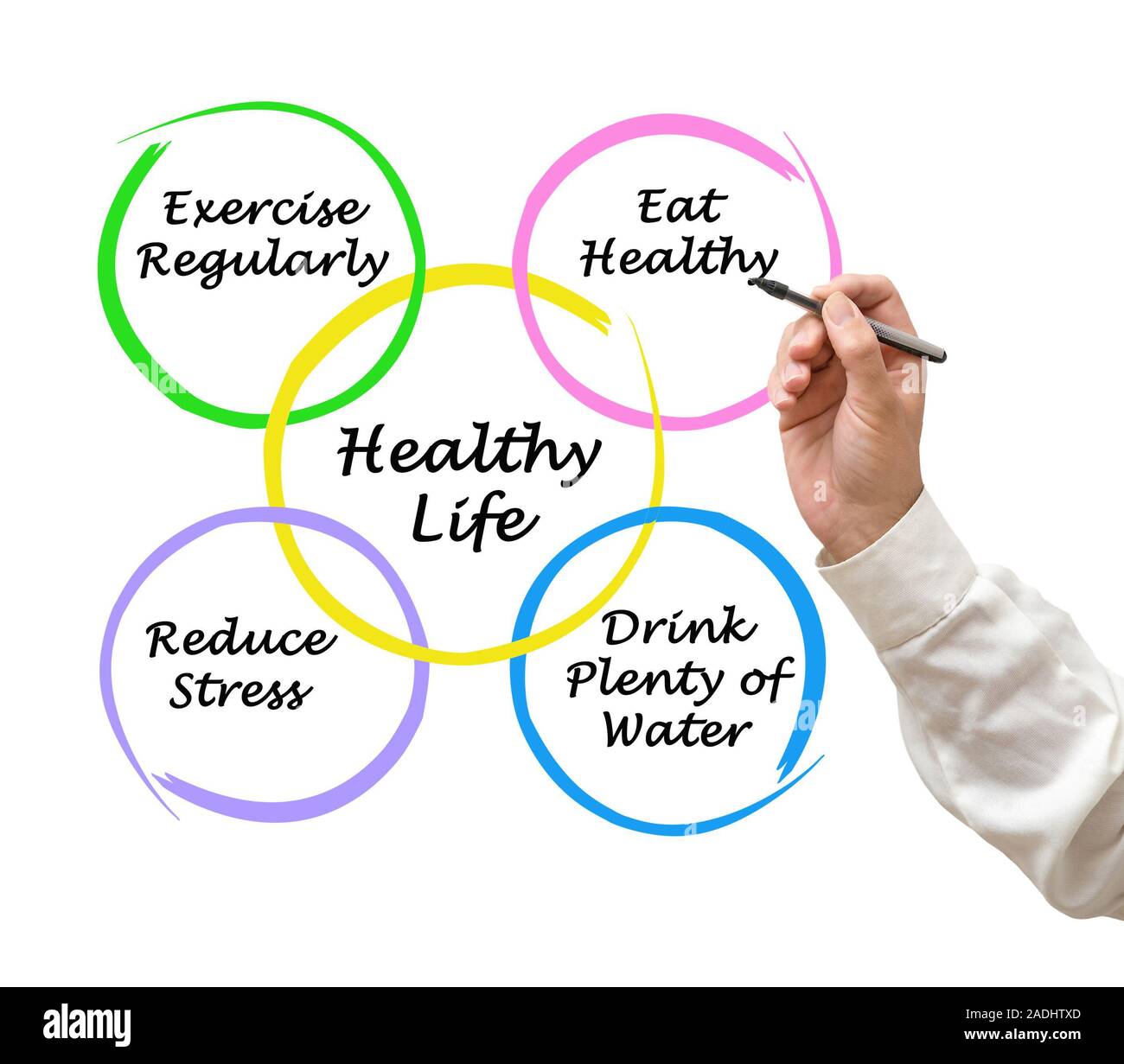 Diagram of healthy life Stock Photo - Alamy