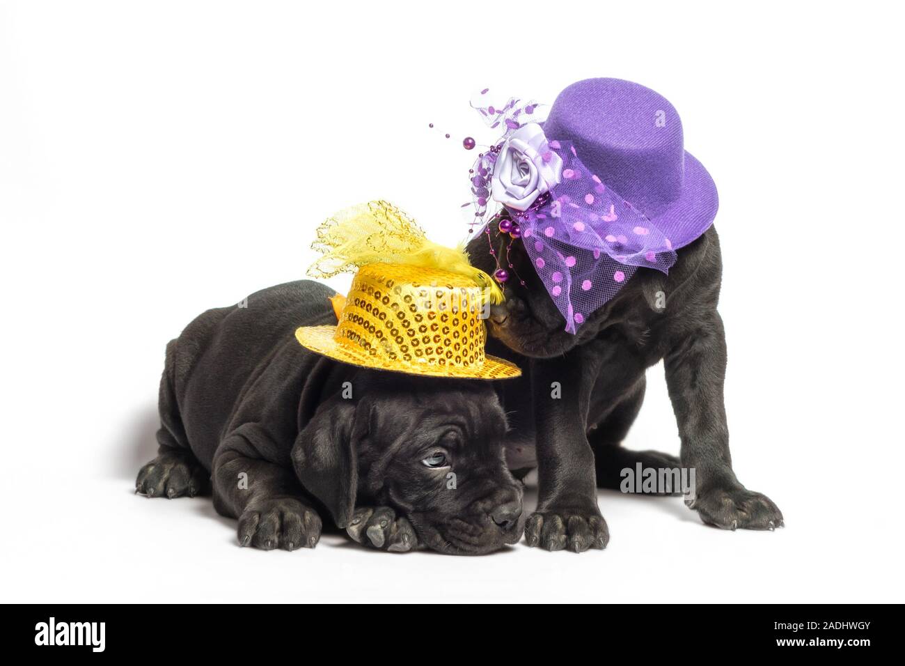 Cane Hats Stock Photos Cane Hats Stock Images Alamy