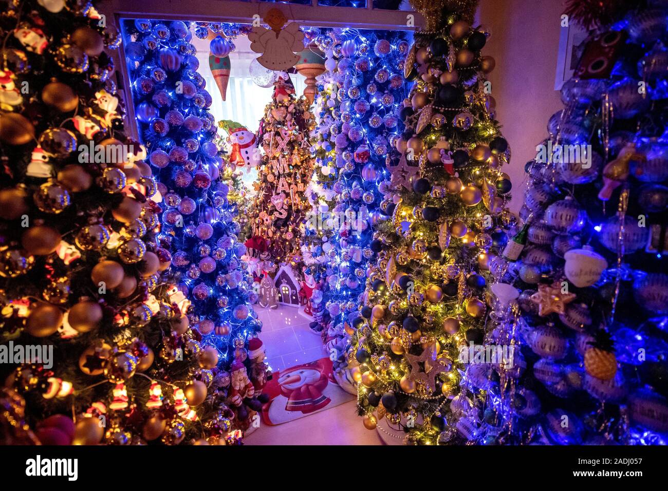 Rinteln, Germany. 04th Dec, 2019. In the corridor of the Jeromin family there are dozens of Christmas trees. There are many Christmas houses in Germany that are illuminated from the outside. Thomas Jeromin, on the other hand, has created a Christmas wonderland in his living rooms. His collection of self-decorated plastic trees is even recognized as a world record. Credit: Sina Schuldt/dpa/Alamy Live News Stock Photo