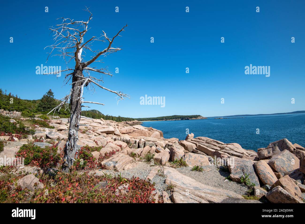Us national park hires stock photography and images Alamy