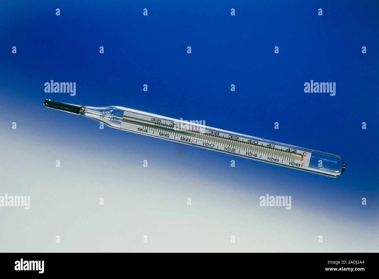 A clinical thermometer, a device for recording human temperature. It