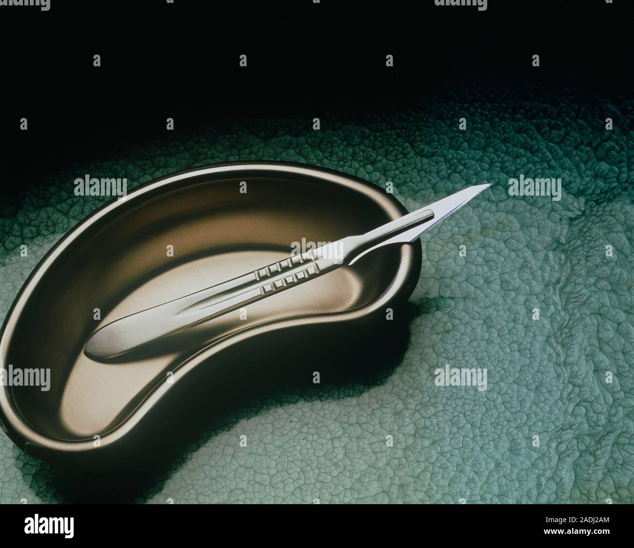 Medical equipment. A scalpel and kidneyshaped dish, both of stainless