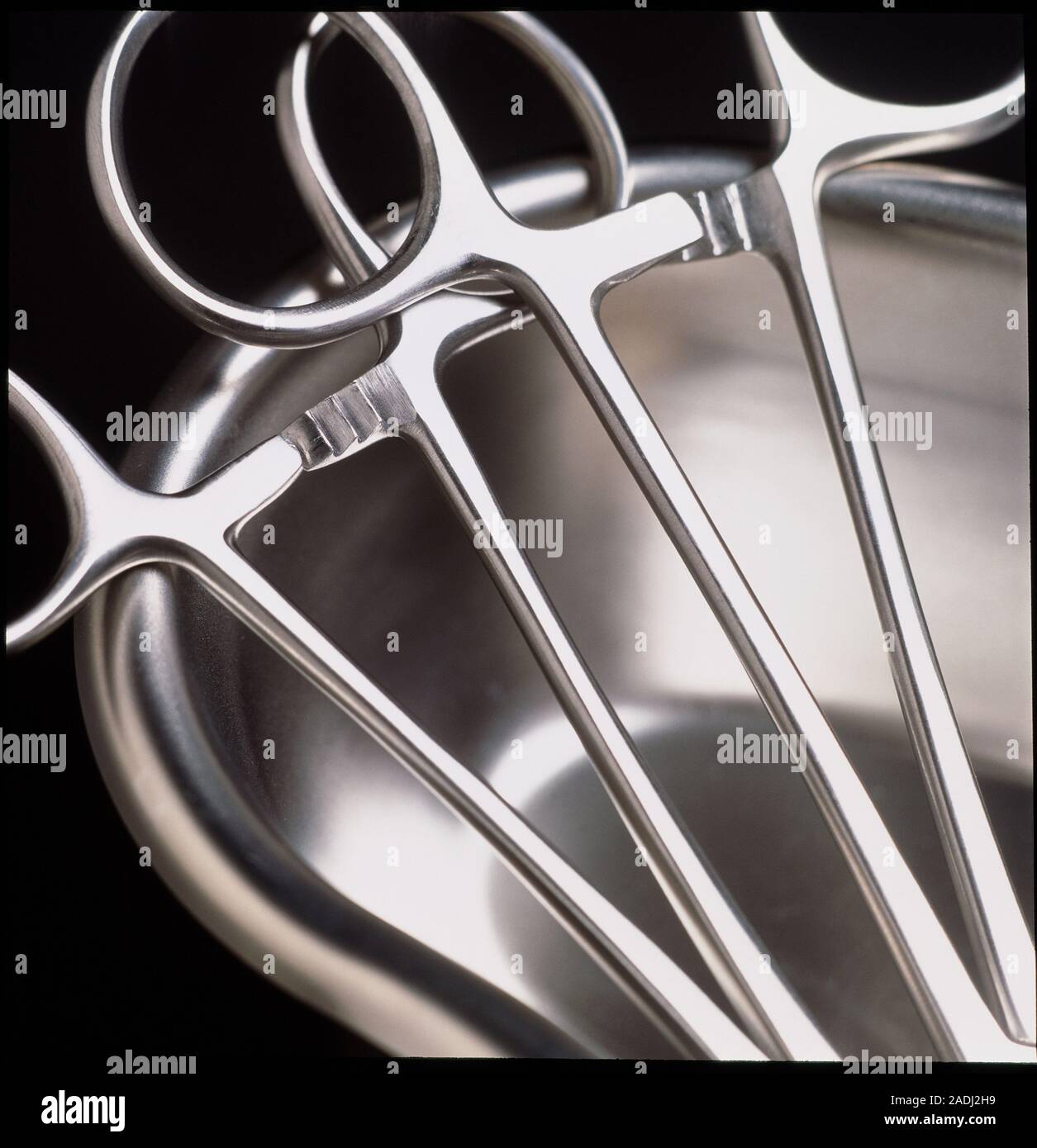 Scissor forceps in bowl. View of the handles of two pairs of scissor