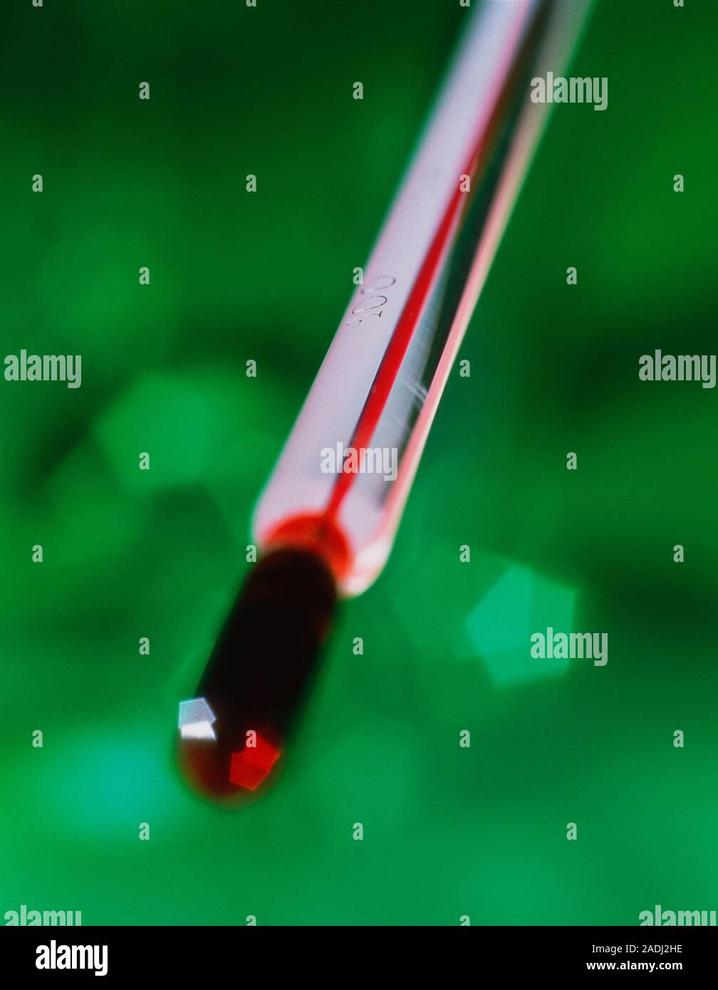 Thermometer. View of a clinical thermometer with a scale in degrees
